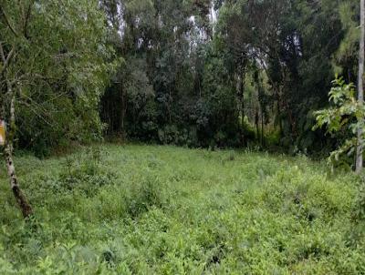 Terreno para Venda, em Itanham, bairro Jd. Cunhambebe