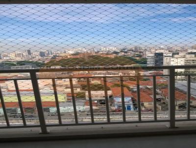 imagem-miniatura